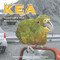 Kea (Curiouser And Curiouser) by Annamarie Florian, Alistair Hughes, 9781869665111