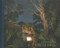 Nocturnal by Frank Hallam Day, Hans-Michael Koetzle, Stephen Perloff, 9783868283709