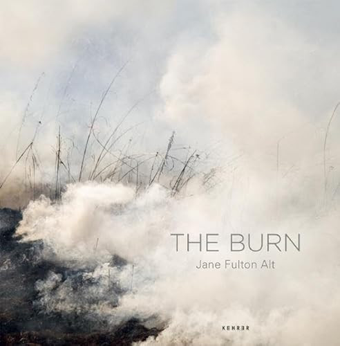 The Burn by Jane Fulton Alt, Jane Fulton Alt, 9783868284010