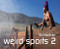 Weird Sports 2 by Sol Neelman, Mike Davies, Brandy  Rettig, 9783868285161