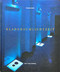 Christina Kubisch (KlangRaumLichtZeit) (German Edition) by Christina Kubisch, Antje von Graevenitz, Carsten Ahrens, 9783933257383