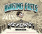 Amazing Facts and Beyond by Kevin Huizenga, Dan Zettwoch, 9780984681464