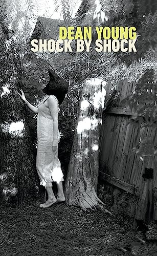 Shock by Shock - 9781556595271 by Dean Young, 9781556595271