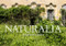 Naturalia (Reclaimed by Nature) by Jonathan (Jonk) Jimenez, Alain Schnapp, 9781908211613