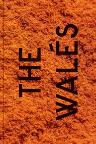 Songs of the Walés by Patrick Willocq, Patrick Willocq, Martin Boilo, Laurence Butet-Roch, Alain Mingram, Azu Nwagbogu, 9783868288308