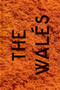 Songs of the Walés by Patrick Willocq, Patrick Willocq, Martin Boilo, Laurence Butet-Roch, Alain Mingram, Azu Nwagbogu, 9783868288308