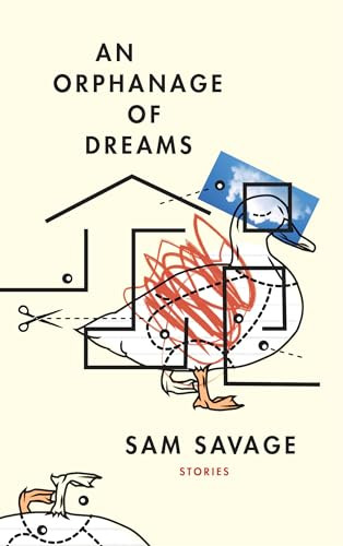 An Orphanage of Dreams by Sam Savage, 9781566895309
