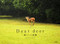 Dear deer (Japanese Edition) by Kazuto Sato, 9784883501892