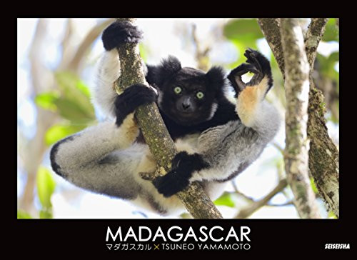MADAGASCAR - 9784883501779 by Tsuneo Yamamoto, 9784883501779