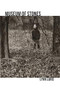 Museum of Stones by Lynn Lurie, 9780998750873