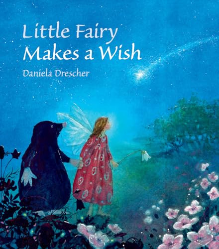 Little Fairy Makes a Wish by Daniela Drescher, 9781782502432