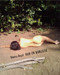 Ban en Banlieue by Bhanu Kapil, 9781937658243