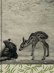 Summer of the Fawn by Alain Laboile, 9783868288957