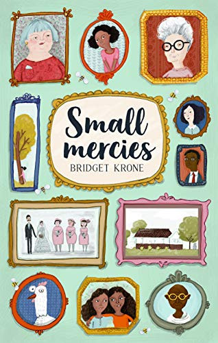 Small Mercies by Bridget Krone, Karen Vermeulen, 9781946395160