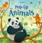 Pop-Up Animals by Anna Milbourne, Richard Johnson, 9781805075523