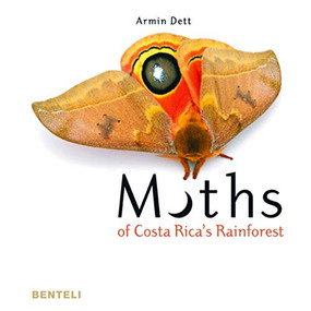 Moths of Costa Rica's Rainforest by Armin Dett, 9783716518403