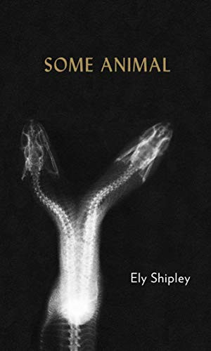 Some Animal by Ely Shipley, 9781937658793