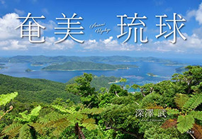 Amami Ryukyu by Takeshi Fukazawa, 9784883503193