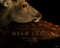 Deer Land by Kazuto Sato, 9784883503186