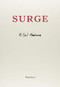 Surge - 9781937658854 by Etel Adnan, 9781937658854