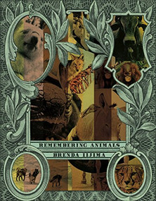 Remembering Animals by Brenda Iijima, 9781937658496