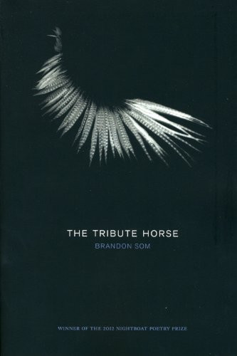 The Tribute Horse by Brandon Som, 9781937658182