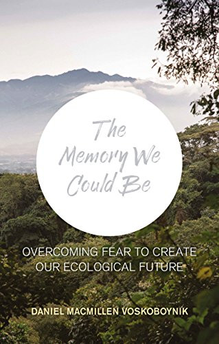 The Memory We Could Be by Daniel Macmillen Voskoboynik, 9781780264400
