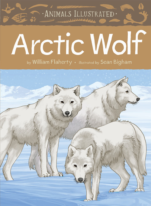 Animals Illustrated: Arctic Wolf by William Flaherty, Sean Bigham, 9781772272130