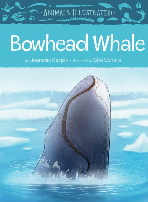 Animals Illustrated: Bowhead Whale by Joanasie Karpik, Sho Uehara, 9781772271621