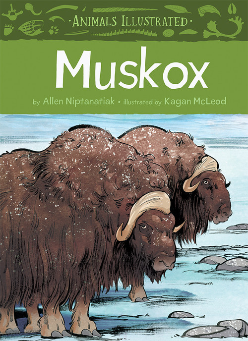 Animals Illustrated: Muskox by Allen Niptanatiak, Kagan McLeod, 9781772271225