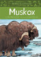 Animals Illustrated: Muskox by Allen Niptanatiak, Kagan McLeod, 9781772271225