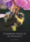 Common Insects of Nunavut by Carolyn Mallory, 9781927095003