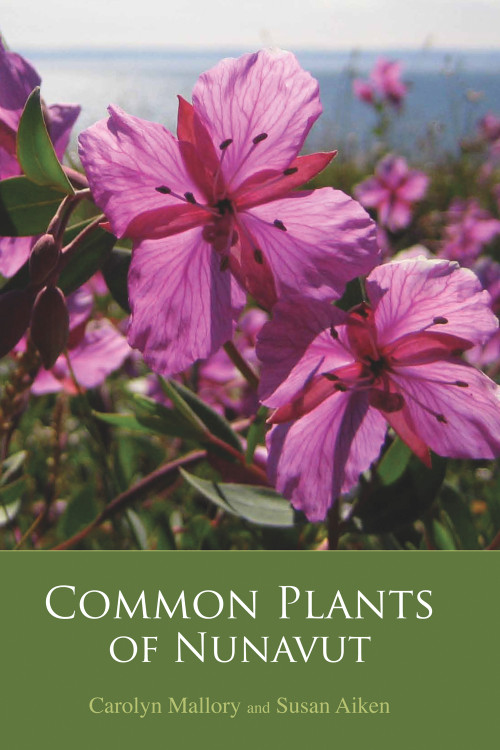 Common Plants of Nunavut by Susan Aiken, Carolyn Mallory, 9781927095195