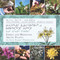 Edible and Medicinal Arctic Plants (An Inuit Elder's Perspective) by Aalasi Joamie, Rebecca Hainnu, Anna Ziegler, 9781772271706