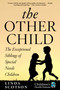 The Other Child (The Exceptional Siblings of Special Needs Children) by Linda Scotson, Ken McCarthy, 9781648210204
