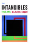 The Intangibles by Elaine Equi, 9781566895644