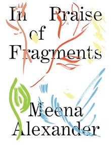 In Praise of Fragments by Meena Alexander, Leah Souffrant, 9781643620121