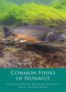Common Fishes of Nunavut by Government of Nunavut, Department of Environment Fisheries and Sealing Division, 9781772272314