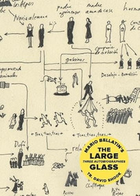 The Large Glass by Mario Bellatin, David Shook, 9781939419491