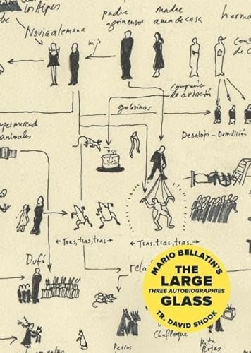 The Large Glass by Mario Bellatin, David Shook, 9781939419491