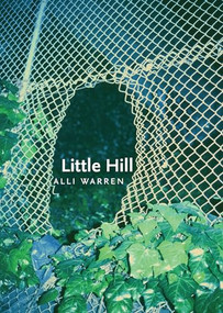 Little Hill by Alli Warren, 9780872868052