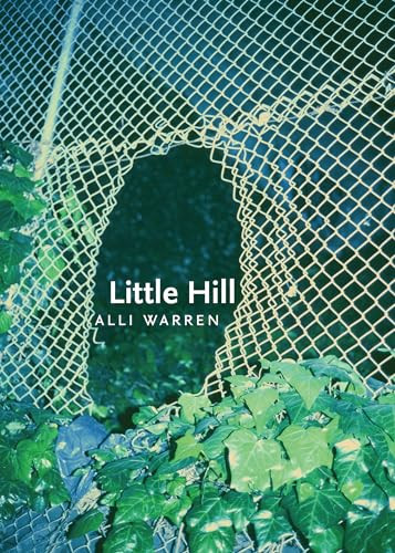 Little Hill by Alli Warren, 9780872868052