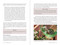 The Herbalist's Guide (How to Build and Use Your Own Apothecary) by Mary Colvin, Mimi Prunella Hernandez, 9781510778092