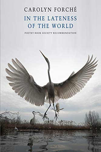 In the Lateness of the World ((International Edition)) by Carolyn Forché, 9781852249649