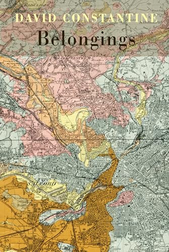 Belongings by David Constantine, 9781780375205