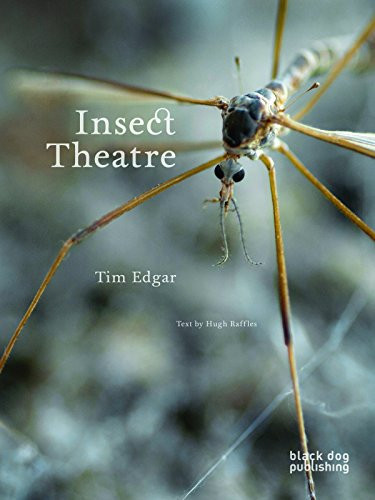 Insect Theatre by Hugh Raffles, Tim  Edgar, 9781908966117