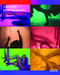 Carolee Schneemann (Unforgivable) by Carolee Schneemann, Melissa Ragona, Kenneth White, Stéphane Aquin, Emily Caigan, R Bruce Elder, Ron Hanson, Juan Carlos Kase, Brett Kashmere, Anette Kubitza, Erica Levin, Scott MacDonald, Thomas McEvilley, Ara Osterweil, Maura Reilly, Kristine Stiles, 9781908966513