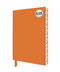 Orange Blank Artisan Notebook (Flame Tree Journals) by Flame Tree Studio, 9781804178294