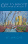 Ode to Didcot Power Station by Kit Wright, 9781780371061