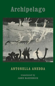 Archipelago - 9781780371085 by Antonella Anedda, Jamie McKendrick, 9781780371085